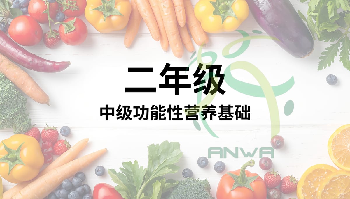 Phase Two : Foundations of Intermediate Functional Nutrition